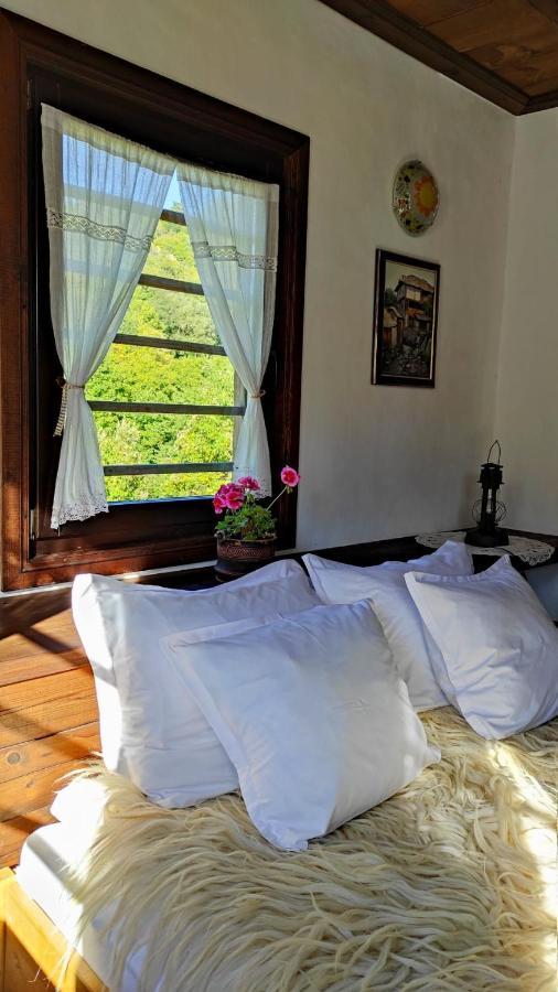 Kalinia Guesthouse B&B Ковачевіца Екстер'єр фото