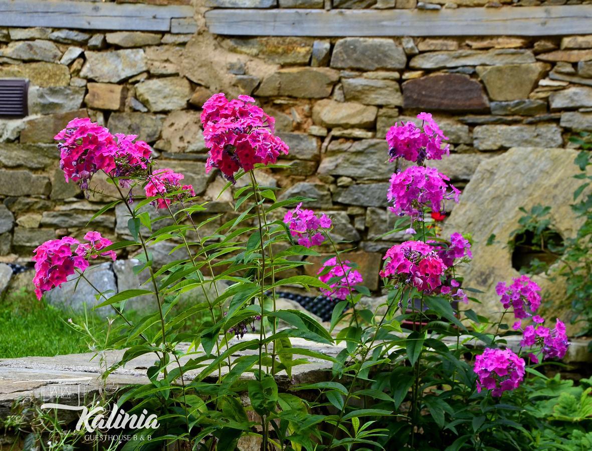 Kalinia Guesthouse B&B Ковачевіца Екстер'єр фото