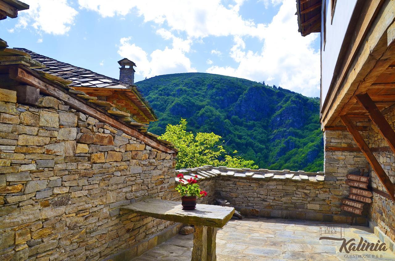 Kalinia Guesthouse B&B Ковачевіца Екстер'єр фото
