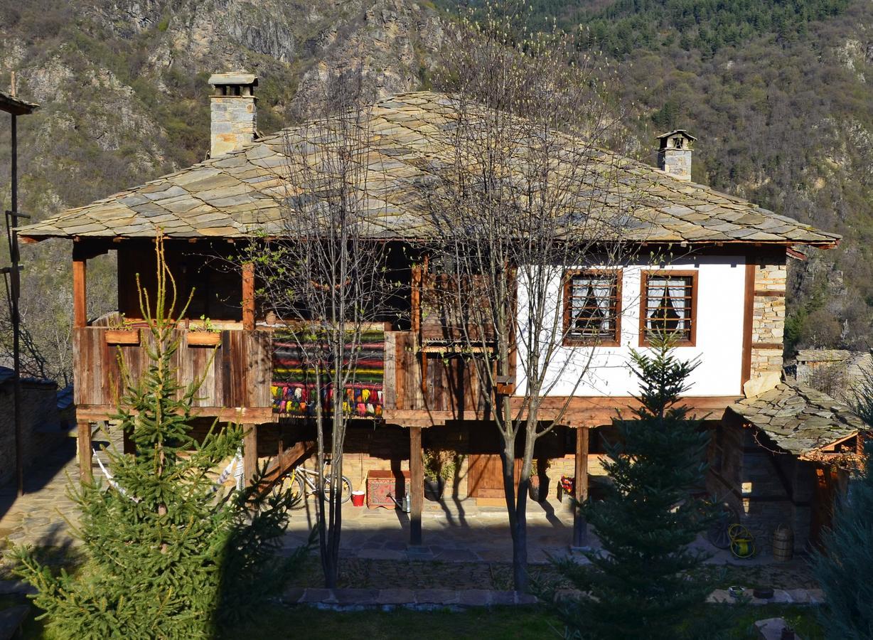 Kalinia Guesthouse B&B Ковачевіца Екстер'єр фото