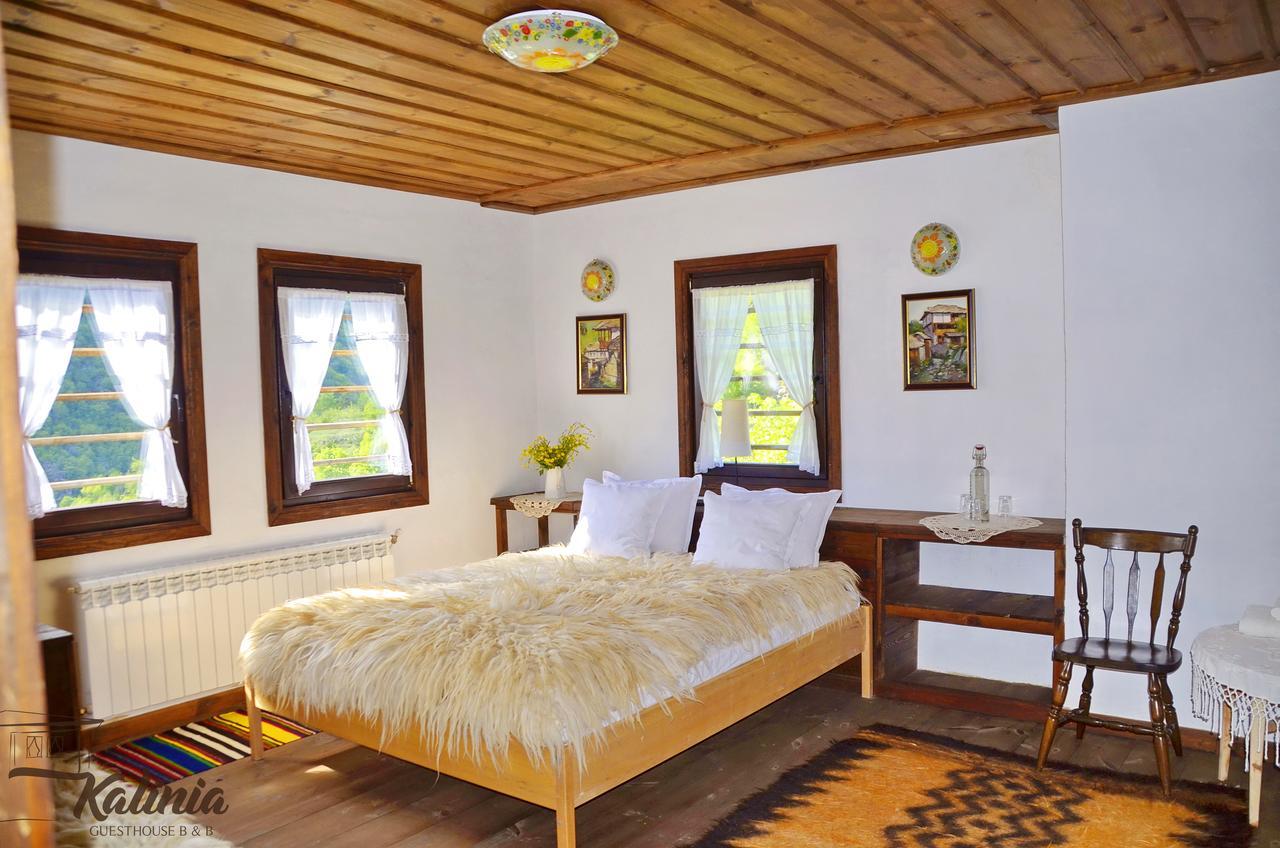 Kalinia Guesthouse B&B Ковачевіца Екстер'єр фото