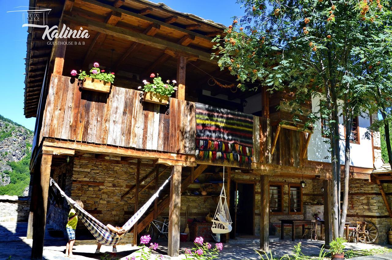 Kalinia Guesthouse B&B Ковачевіца Екстер'єр фото