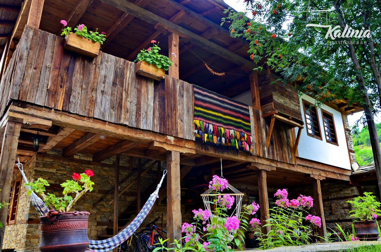Kalinia Guesthouse B&B Ковачевіца Екстер'єр фото