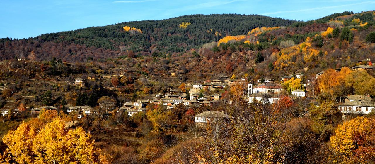Kalinia Guesthouse B&B Ковачевіца Екстер'єр фото