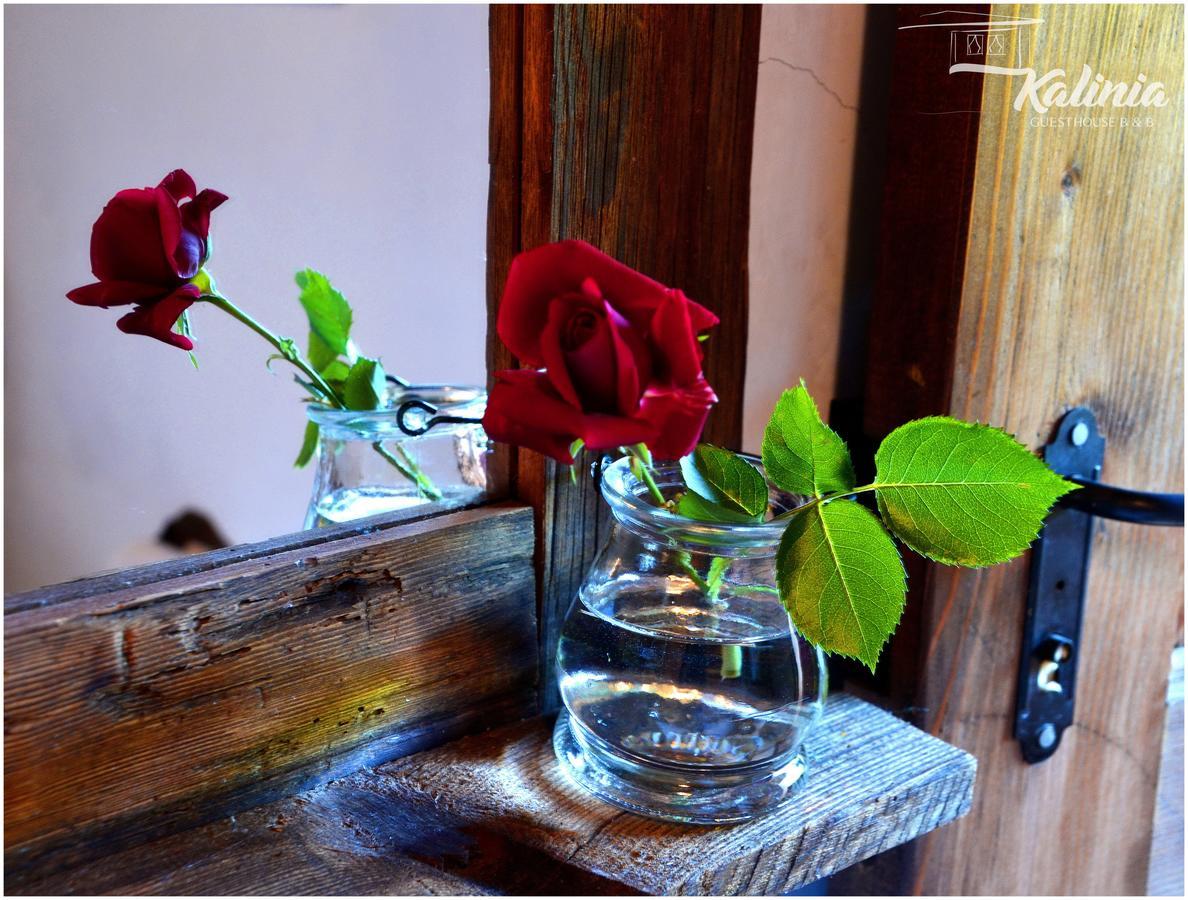 Kalinia Guesthouse B&B Ковачевіца Екстер'єр фото
